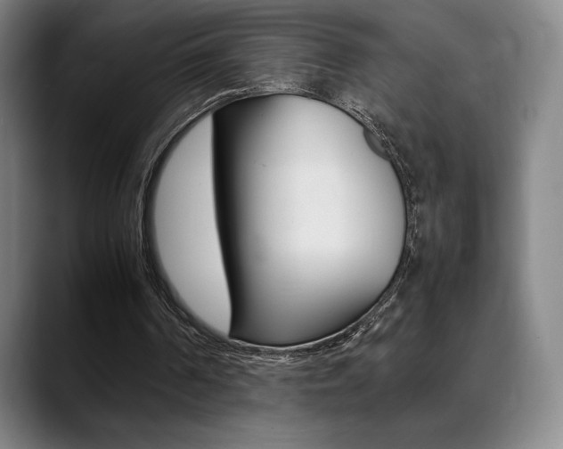 X0000089360194200706150830