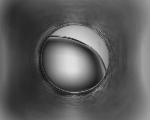 X0000089360197200706150830