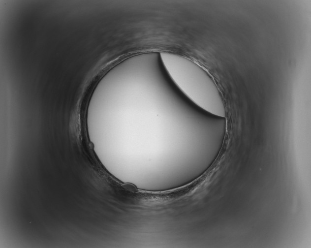 X0000089360198200706150830