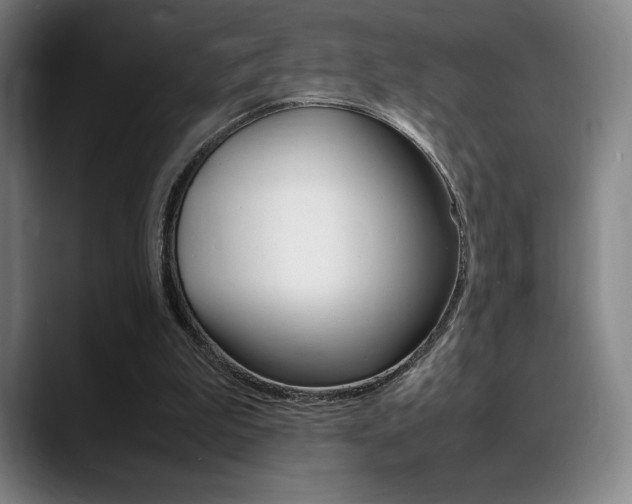 X0000089360199200706150830