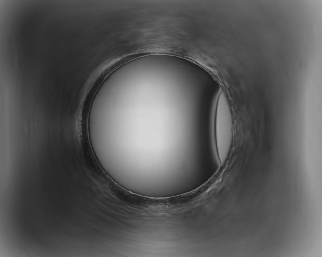 X0000089360200200706150830