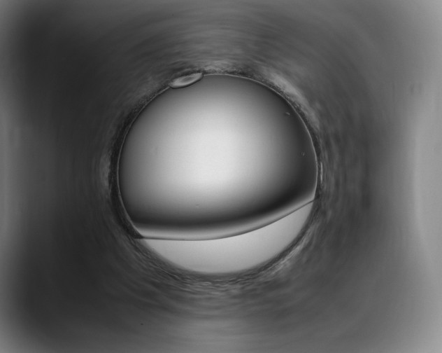 X0000089360201200706150830