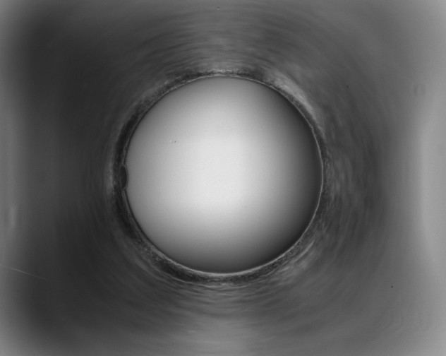 X0000089360203200706150830