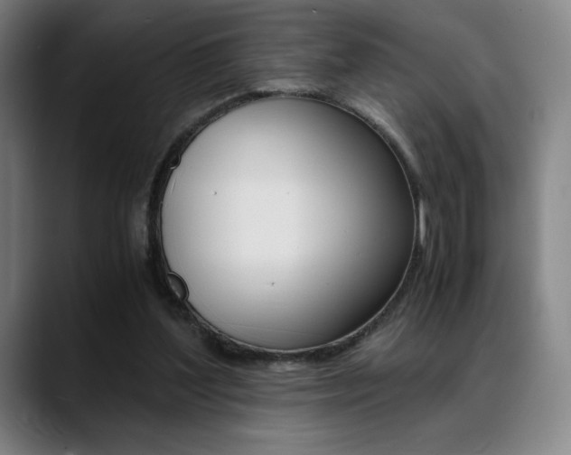 X0000089360204200706150830