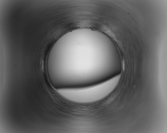 X0000089360205200706150830