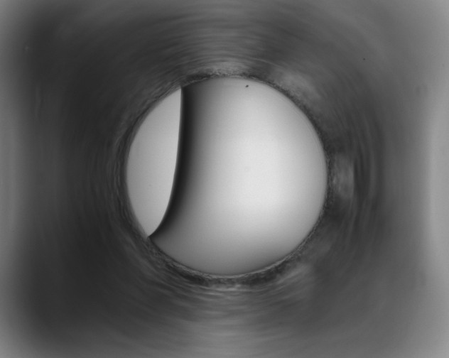 X0000089360206200706150830