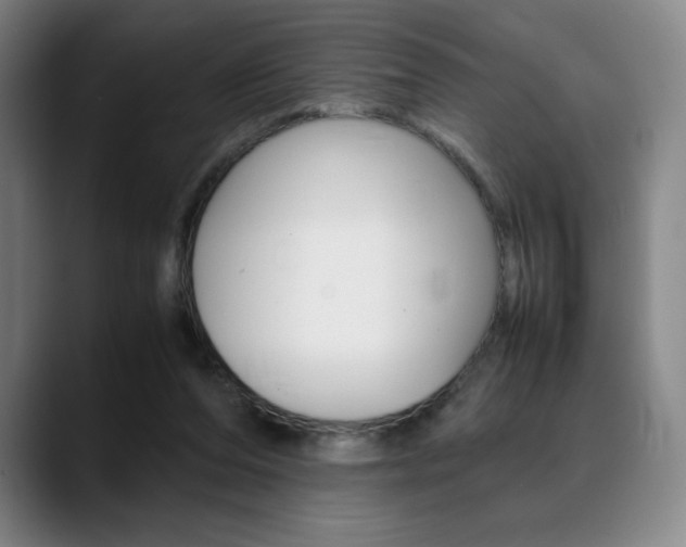 X0000089360208200706150830