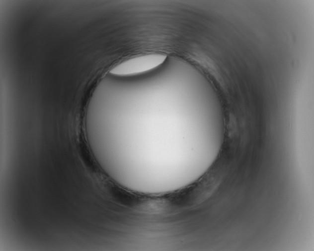 X0000089360210200706150830