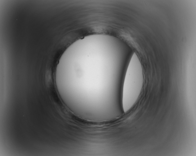 X0000089360213200706150830