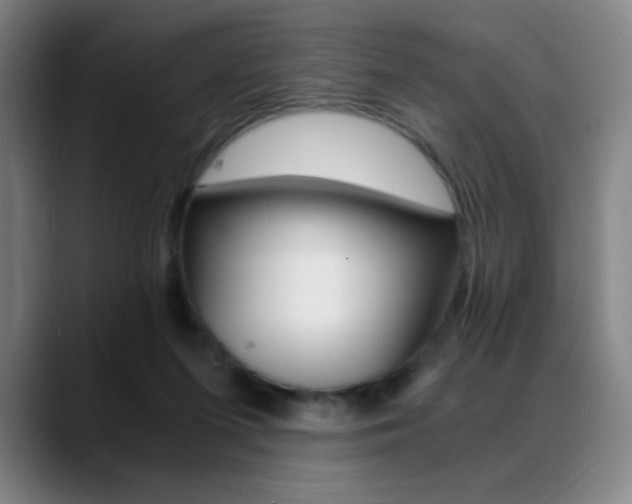 X0000089360215200706150830