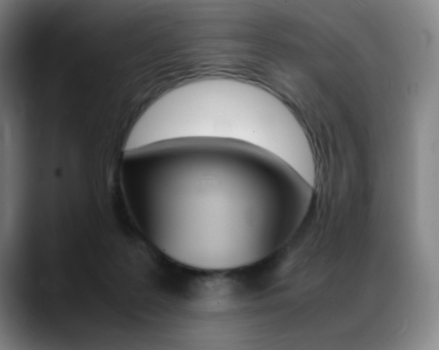 X0000089360219200706150829