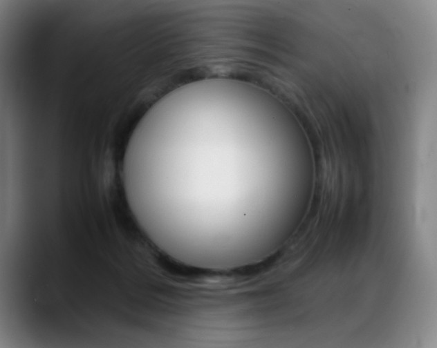 X0000089360220200706150829