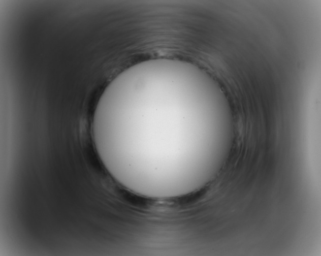 X0000089360222200706150829
