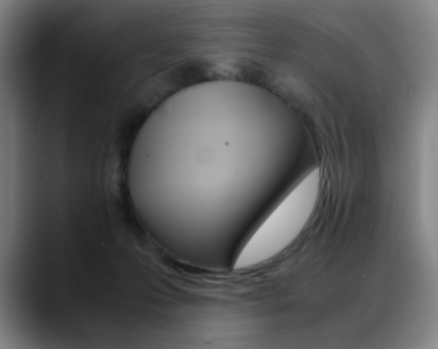 X0000089360223200706150829