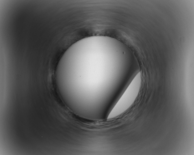X0000089360225200706150829