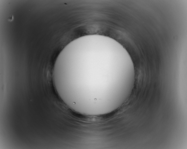 X0000089360226200706150829
