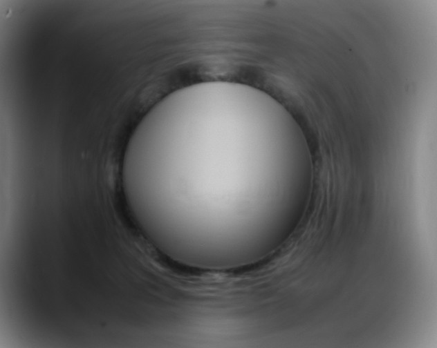 X0000089360227200706150829