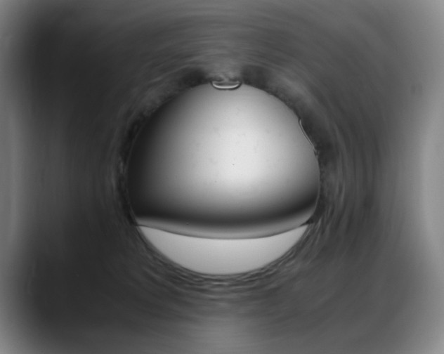X0000089360229200706150829
