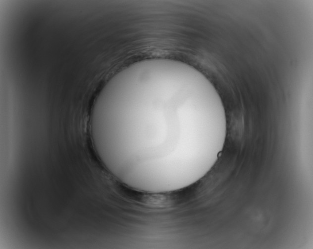 X0000089360230200706150829
