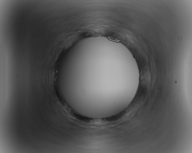 X0000089360231200706150829