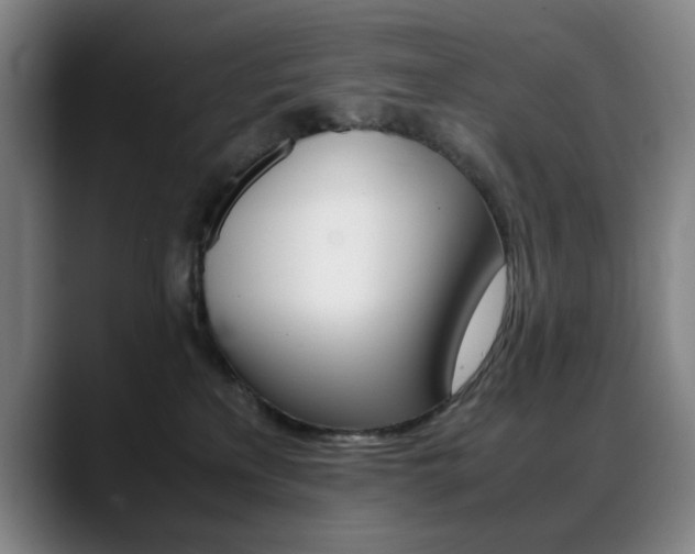 X0000089360233200706150829