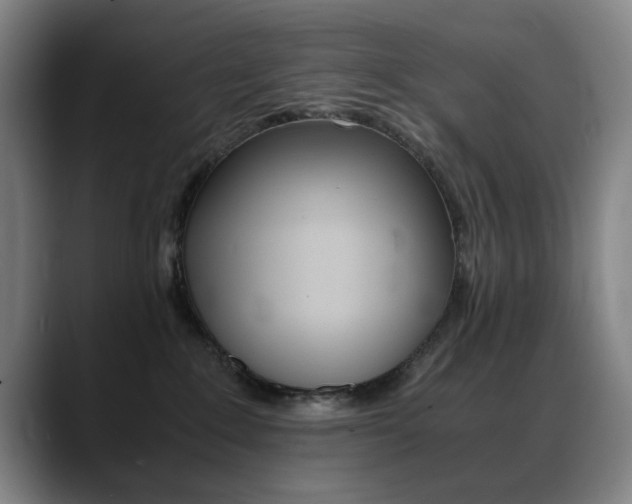 X0000089360235200706150829