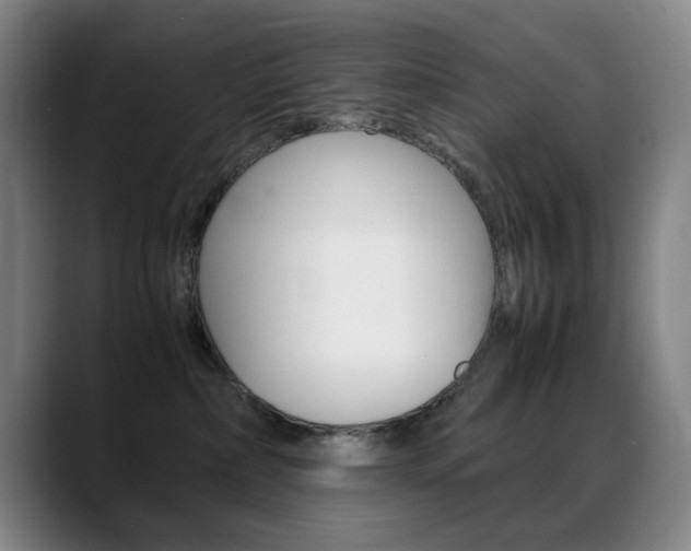 X0000089360236200706150829