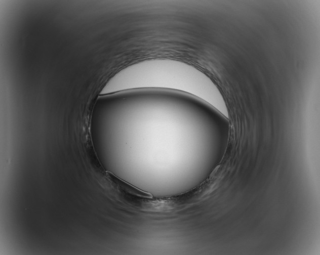 X0000089360237200706150829