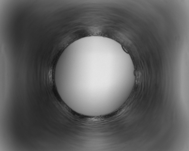 X0000089360238200706150829
