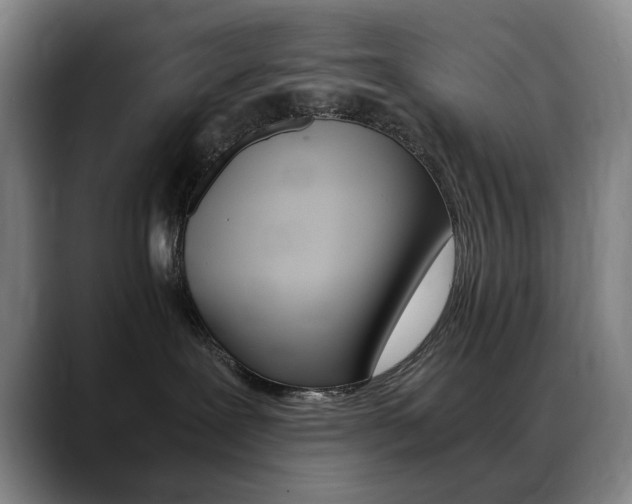 X0000089360239200706150829