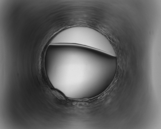 X0000089360242200706150829