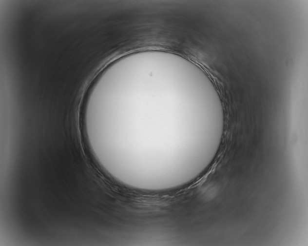 X0000089360244200706150829