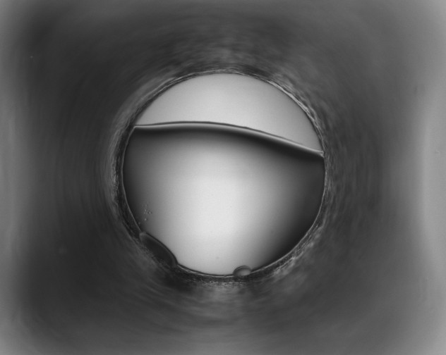 X0000089360245200706150829