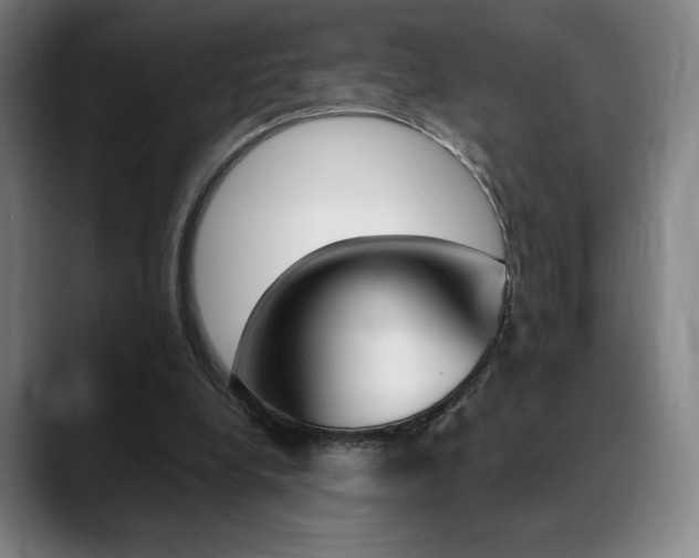 X0000089360248200706150829