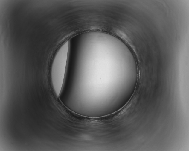 X0000089360249200706150829