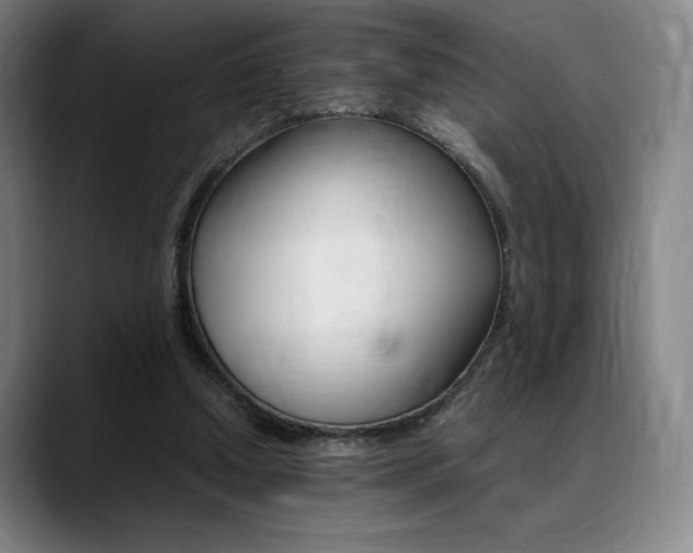 X0000089360250200706150829