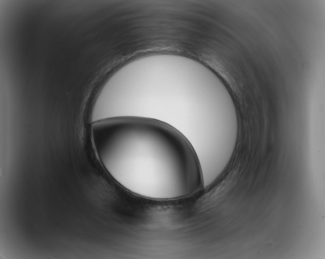 X0000089360252200706150829