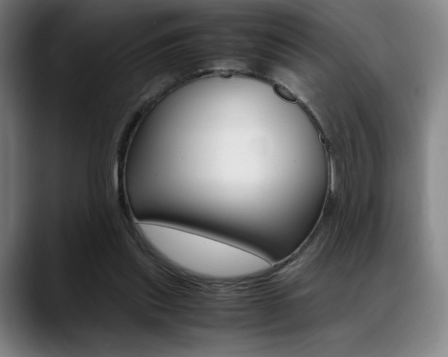 X0000089360253200706150829