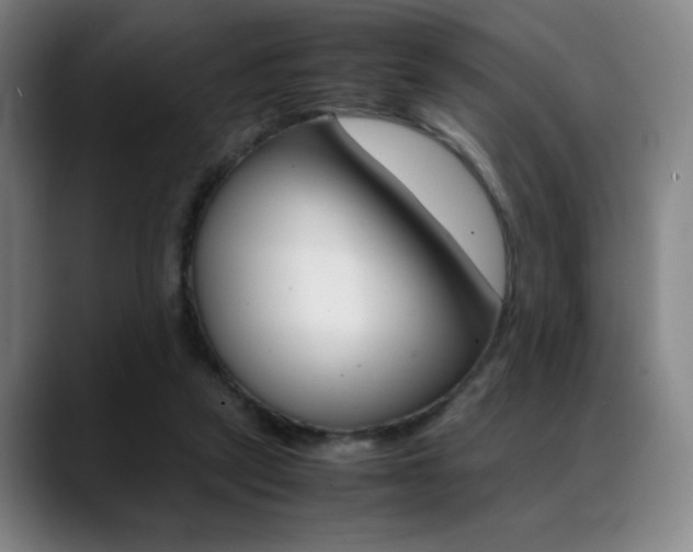 X0000089360257200706150829