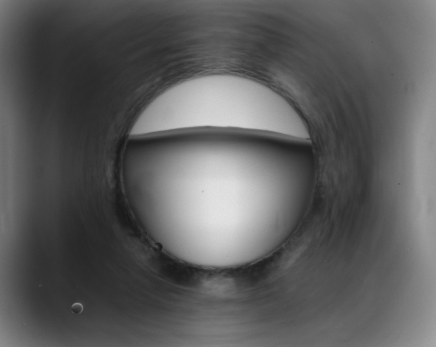 X0000089360258200706150829