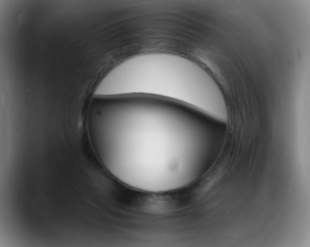 X0000089360261200706150829