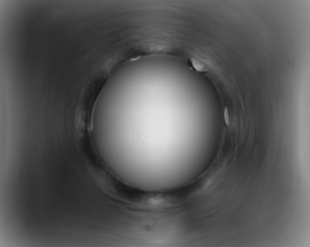X0000089360264200706150829