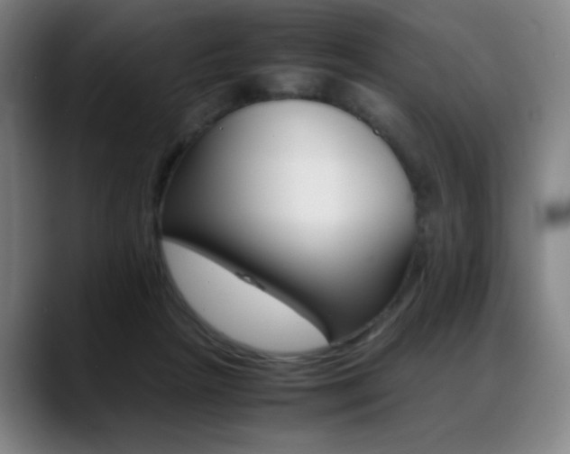 X0000089360265200706150829