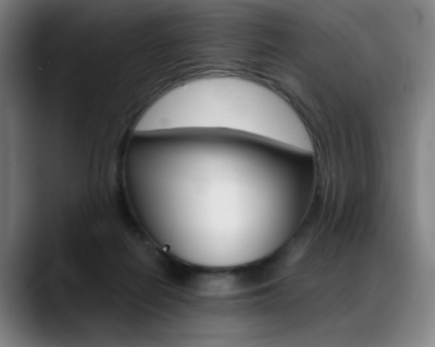 X0000089360266200706150829