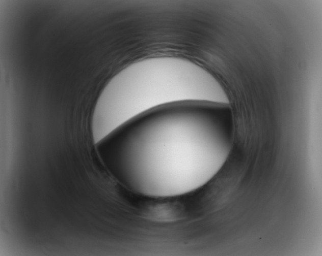 X0000089360267200706150829
