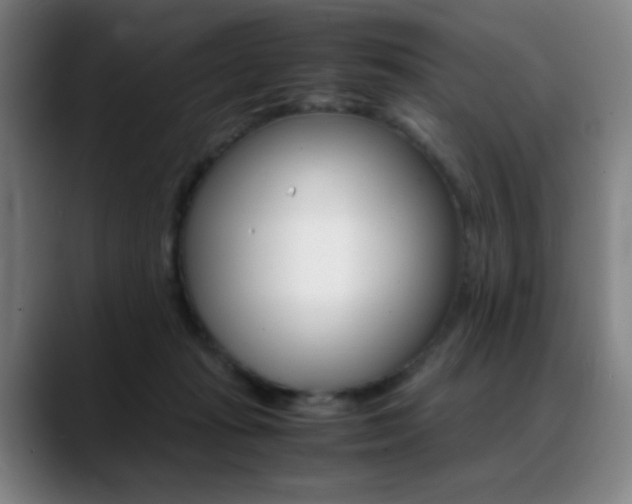 X0000089360269200706150829