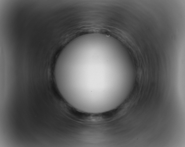 X0000089360270200706150829