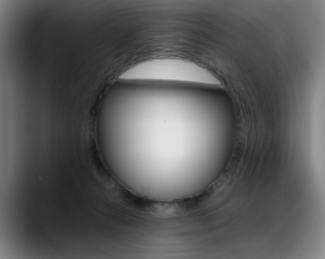 X0000089360272200706150829