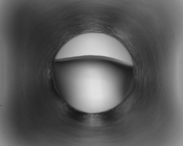 X0000089360273200706150829