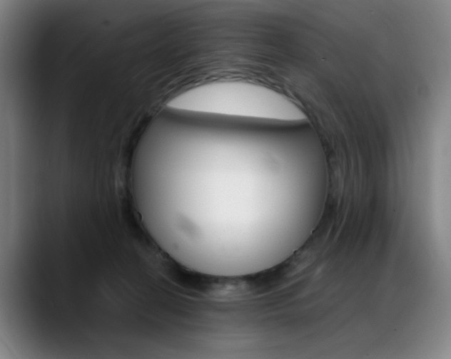 X0000089360274200706150829